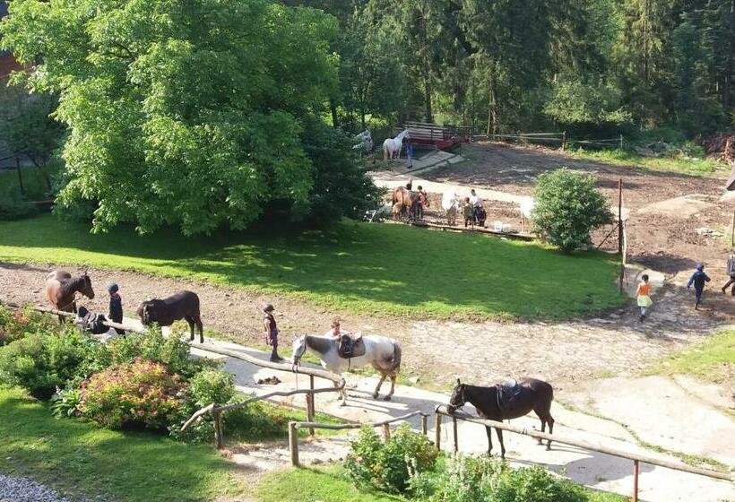 تختخواب و صبحانه Górski Ośrodek Jeździecki