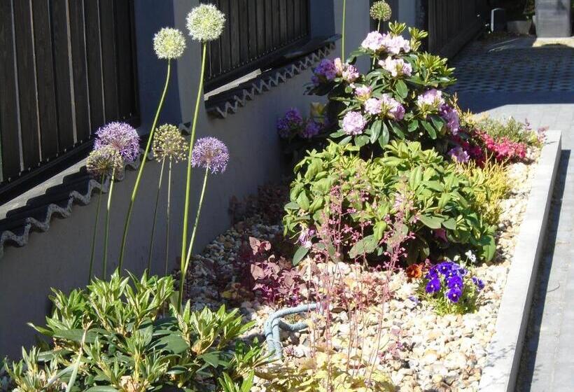 مبيت وإفطار Villa Art Korab