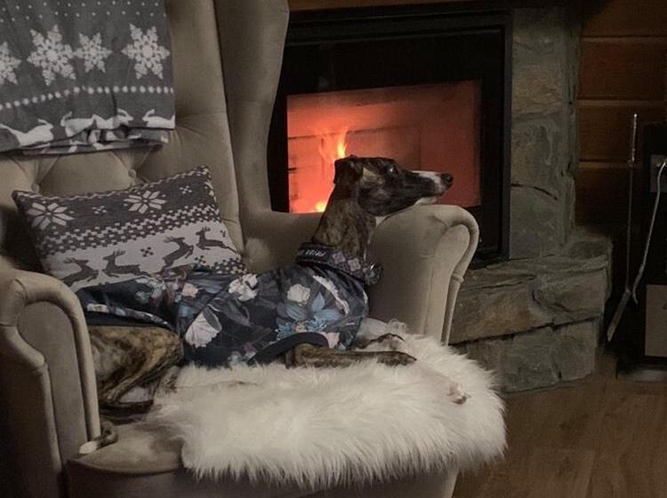 تختخواب و صبحانه Willa Karkonoska