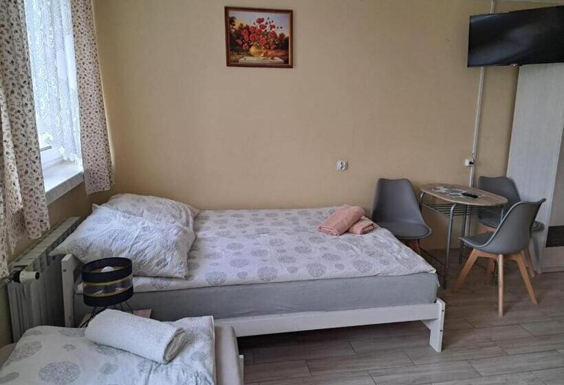 هتل Dom Turysty Salus