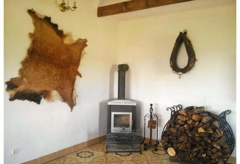 Отель Agroturystyka Leszczynowy Dworek