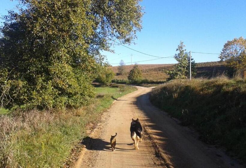 בית מלון כפרי Pod Tulipanem Nad Jeziorem