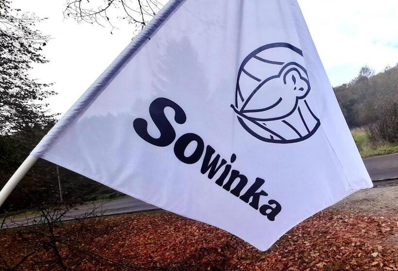 ホテル Sowinka