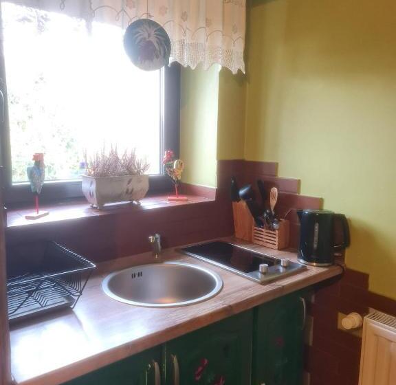 פנסיון Apartamenty I Pokoje Aneta