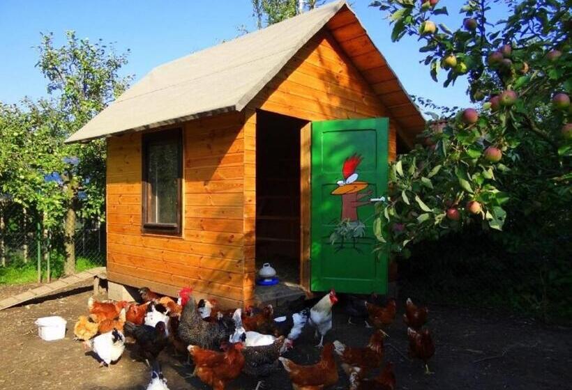 פנסיון Apartamenty I Pokoje Aneta