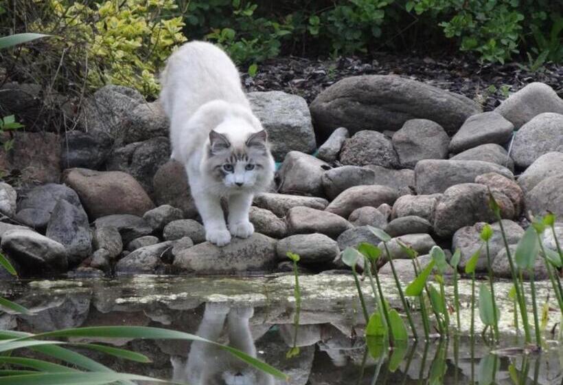 פנסיון Apartamenty I Pokoje Aneta