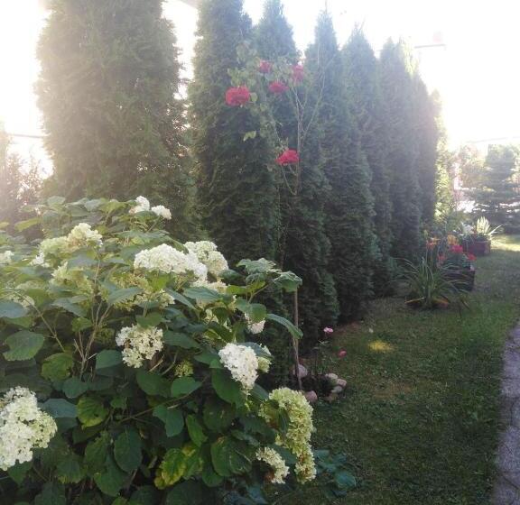 پانسیون Hostel U Misiów