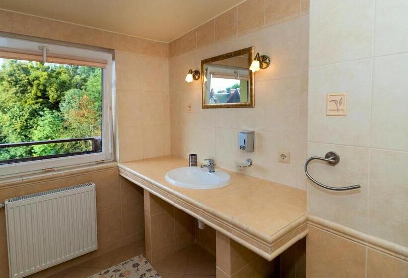 リゾートホテル Willa & Spa Odnova