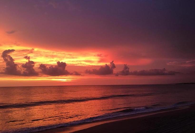 تختخواب و صبحانه El Sol La Vida Beach Front B/b Adults Only