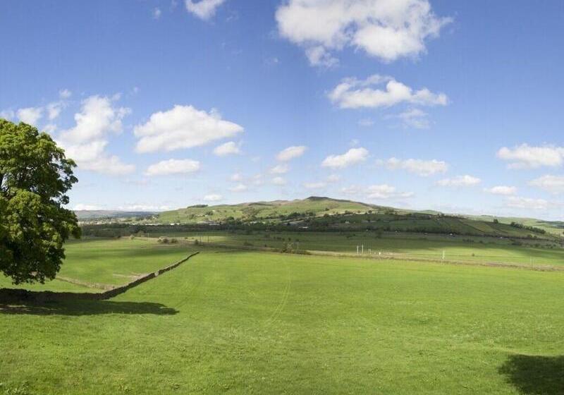 Bed and Breakfast Throstle Nest Farm