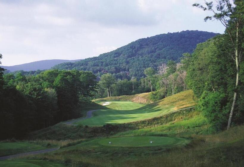 هتل Allegheny Springs