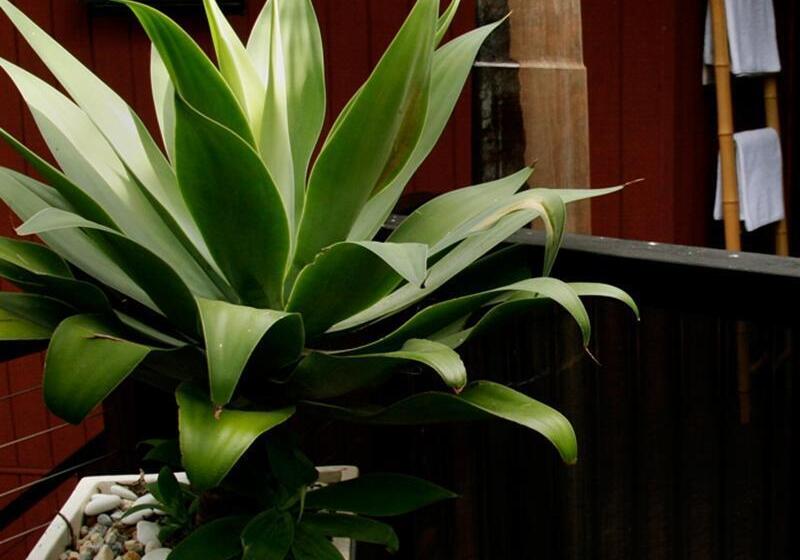 هتل Azabu Retreat & Spa