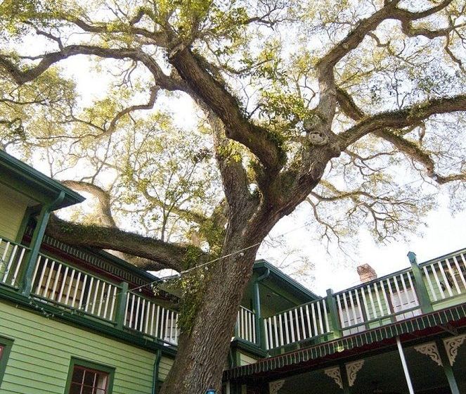 בית מלון כפרי Florida House Inn