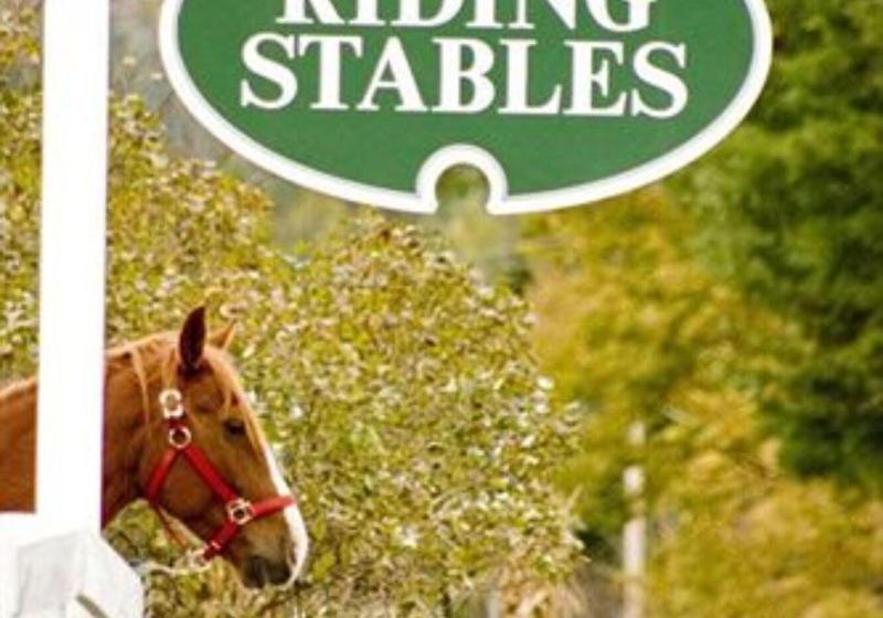 فندق Franconia Inn