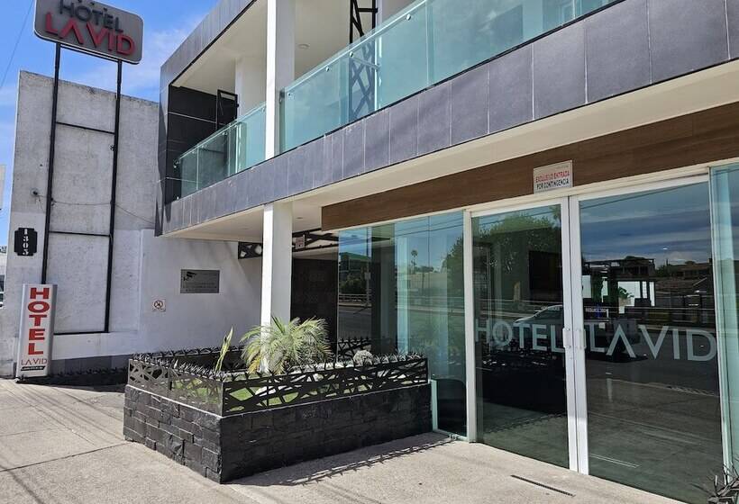 Fotos del hotel La Vid:  11
