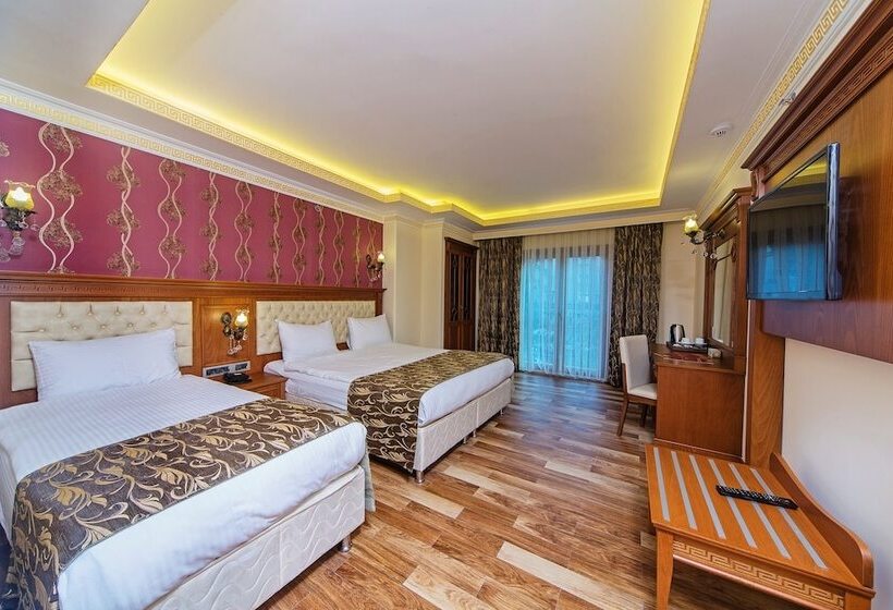 Fotos del hotel Lausos Palace:  3