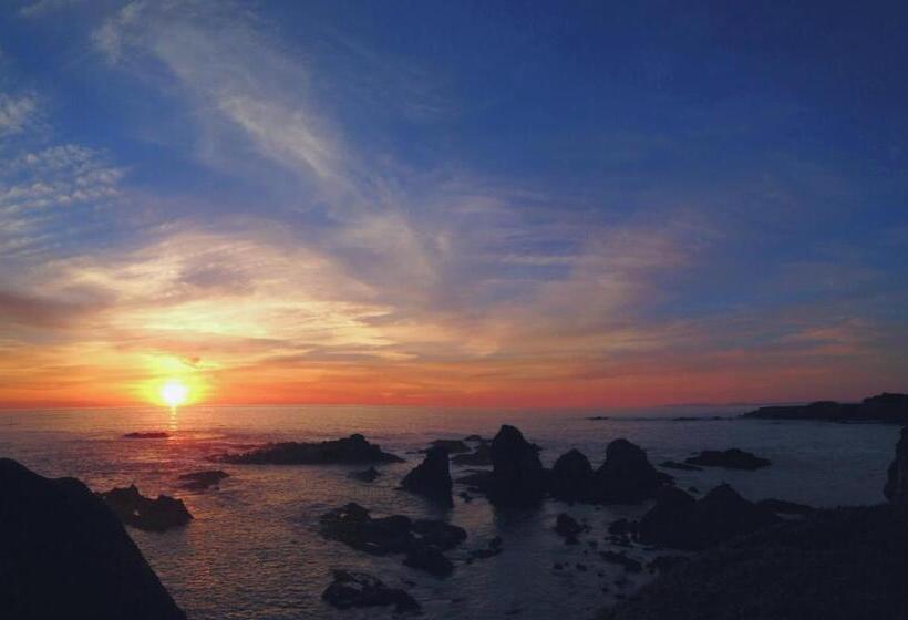 فندق Surf And Sand Lodge