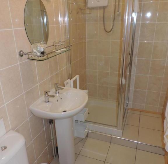 Пансион Bron Rhiw Guest House