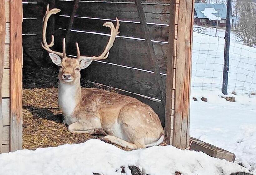 צימר Ośrodek Wypoczynkowy U Bartka