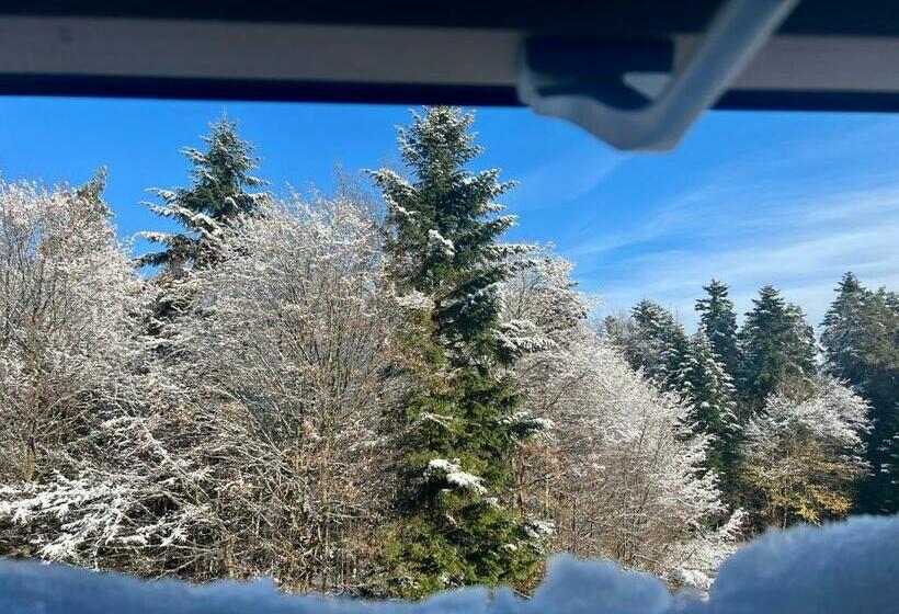 ベッドアンドブレックファースト Zagroda Na Pacanach