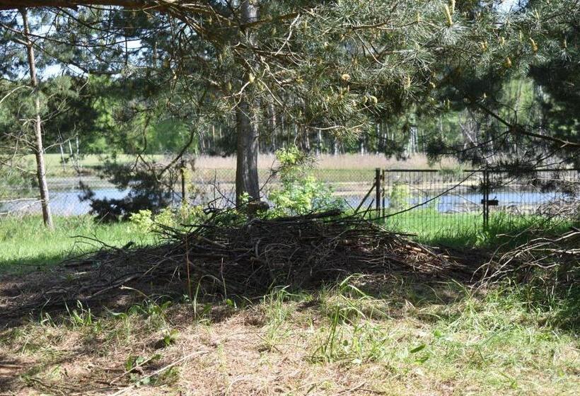 ホテル Newland Wójtowicz