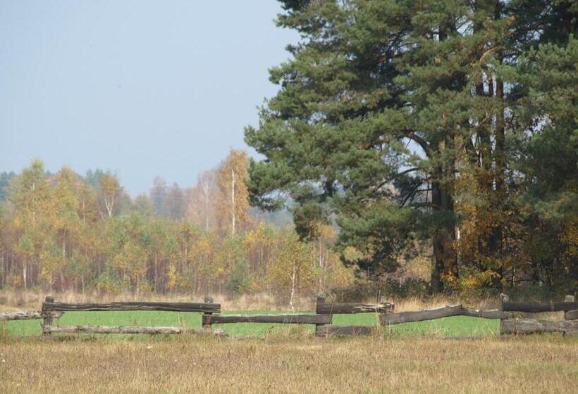 ホテル Wieża Marzeń