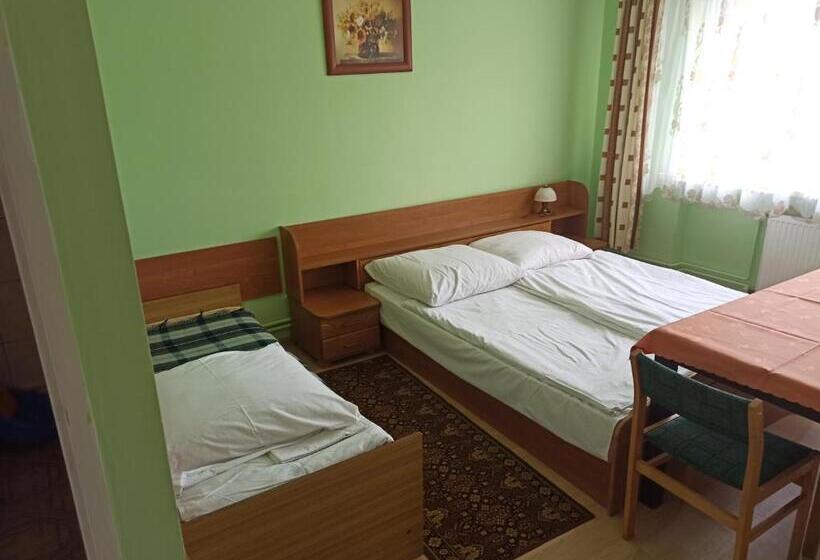 پانسیون Apartament I Pokoje Gościnne Budnik