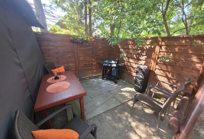 ペンション Forte & Piano