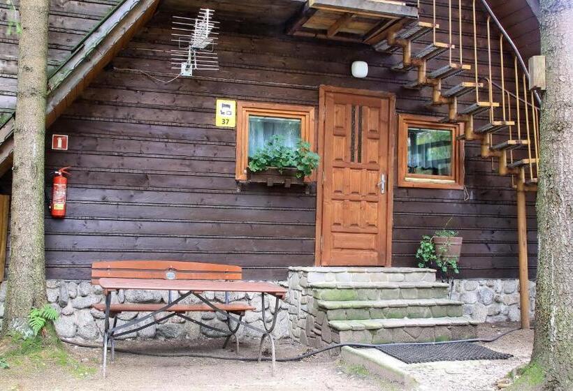 استراحتگاه Camping Pod Krokwią