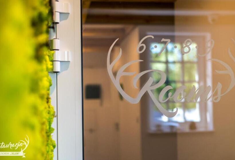 ユースホステル Pokoje Hotelowe Nad Jeziorem Jelen