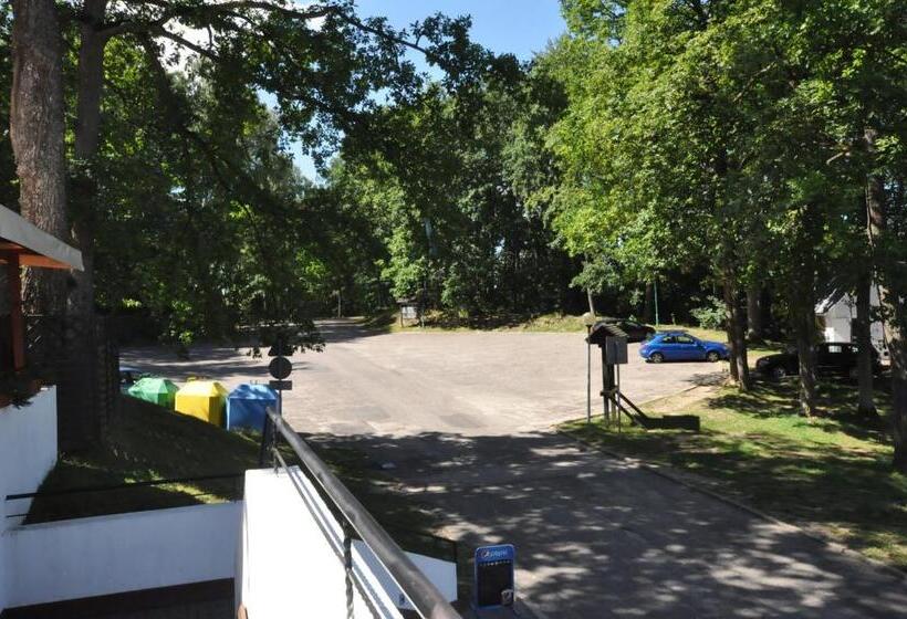 ユースホステル Pokoje Hotelowe Nad Jeziorem Jelen