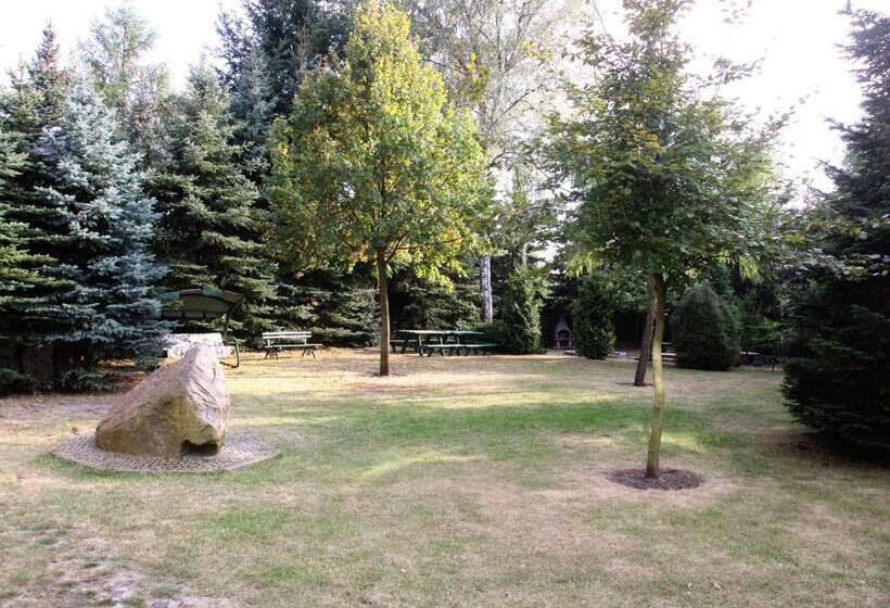 Отель Park