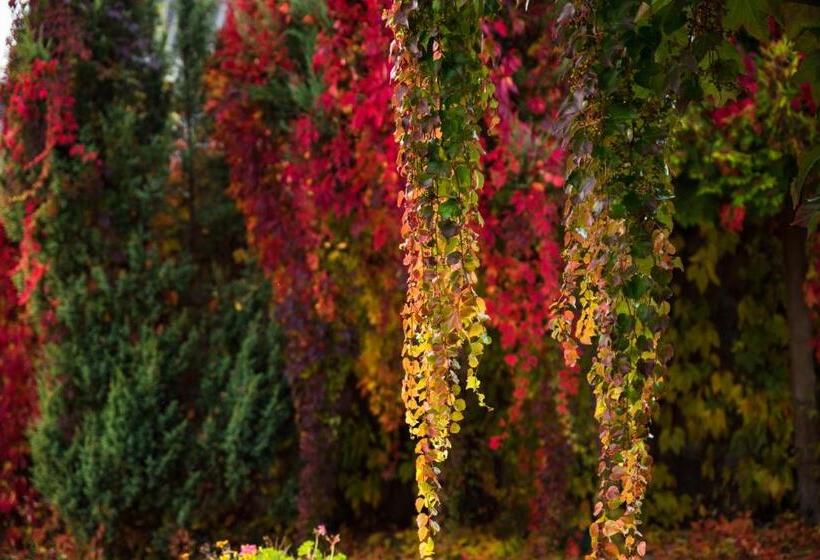 פנסיון Ostoja Wigierski