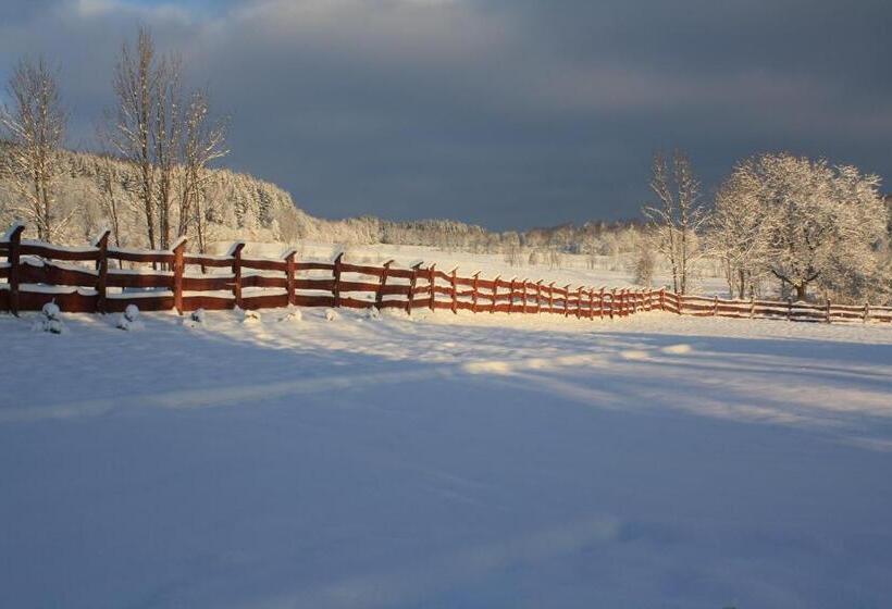 تختخواب و صبحانه Dom Na Klonowym Wzgórzu