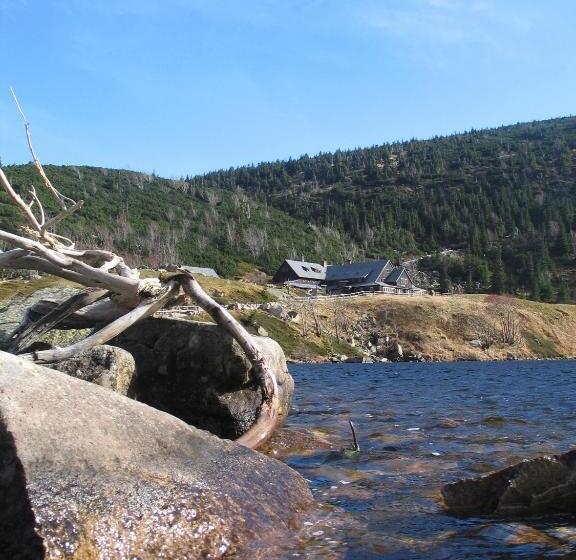 تختخواب و صبحانه Willa Grafit