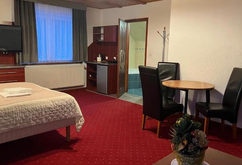 Bed and Breakfast Willa Larysa Agro