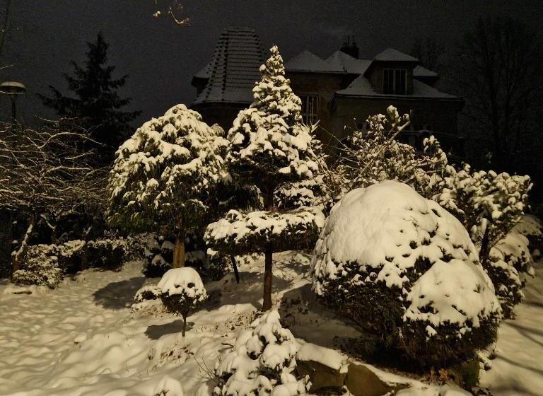 ベッドアンドブレックファースト Willa Marysin