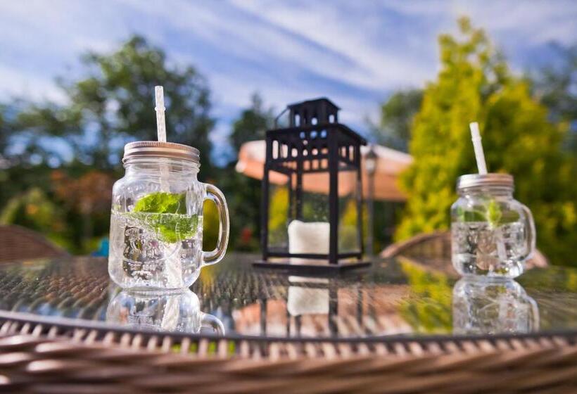 住宿加早餐  Willa Trela