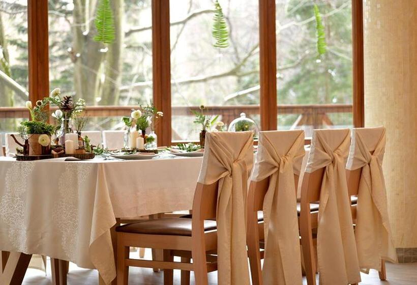 هتل Europa   Górnicza Strzecha