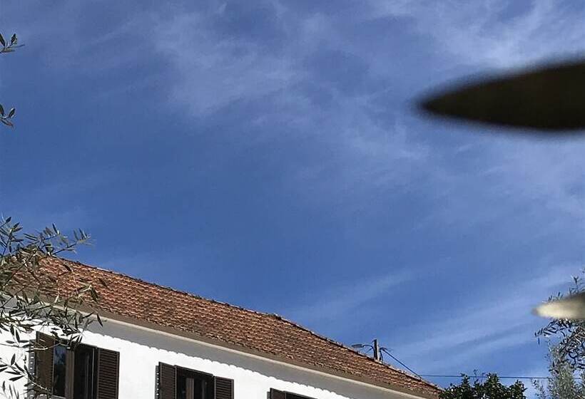 تختخواب و صبحانه Casa Da Oliveira