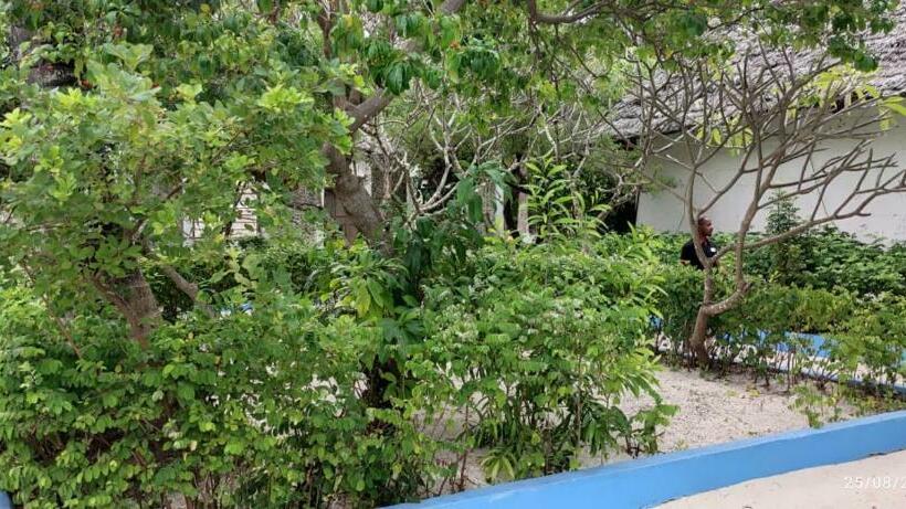 בית מלון כפרי Oasis Beach Inn