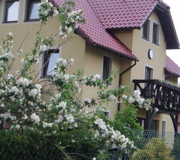 پانسیون Willa Axla Z Werandą Ogrodem I Parkingiem