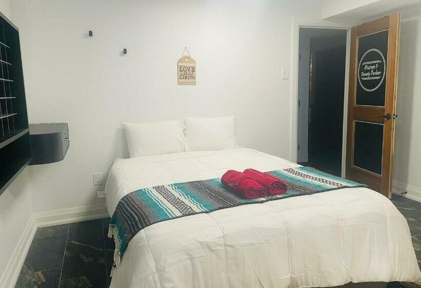 تختخواب و صبحانه Contemporary Stay Near Horseshoe Fall