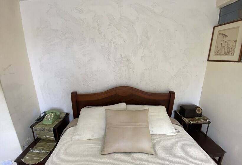 تختخواب و صبحانه Casa Skema   Garden