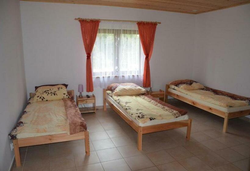 Отель Agroturystyka U Siwego