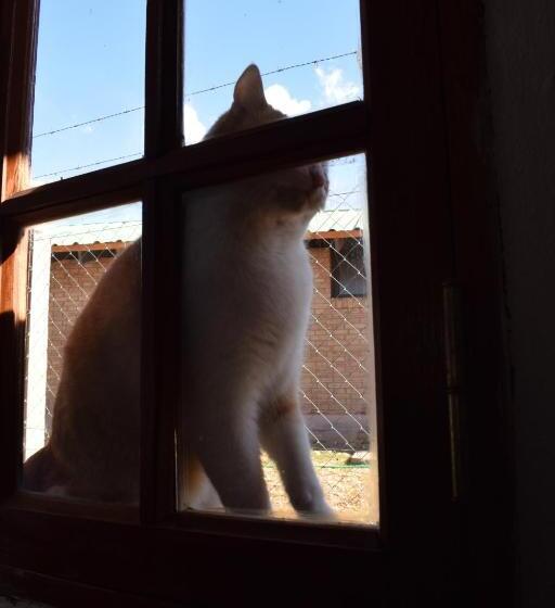 تختخواب و صبحانه Tiempo De Bienestar