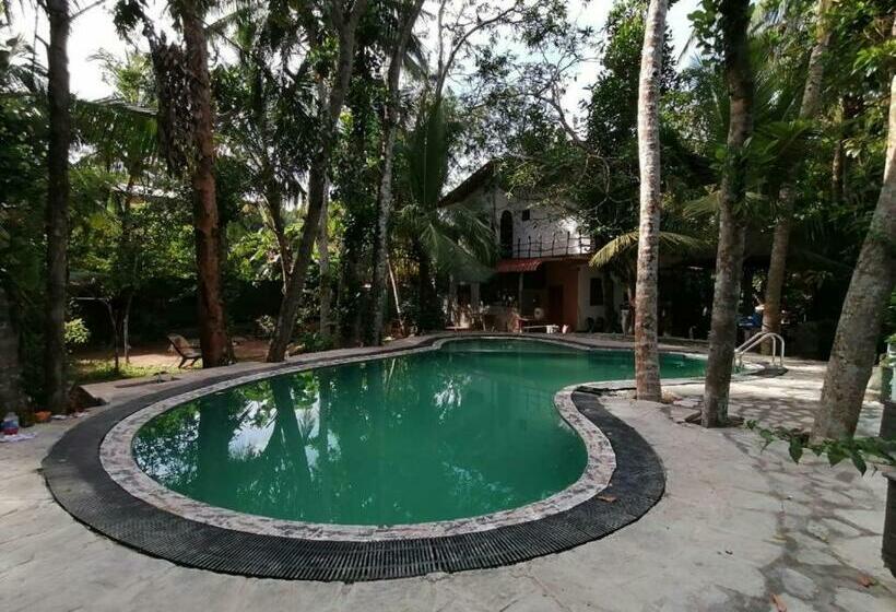 پانسیون Shadow Lake House