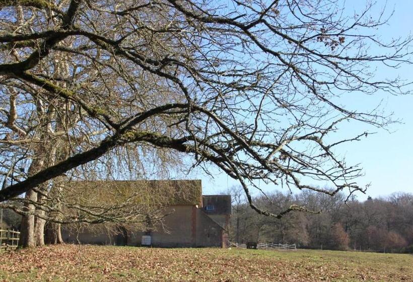 Gîte Les Grandes Maisons Cœur Forêt D Orléans Et Espace Bien être Jacuzzi Hammam Spa