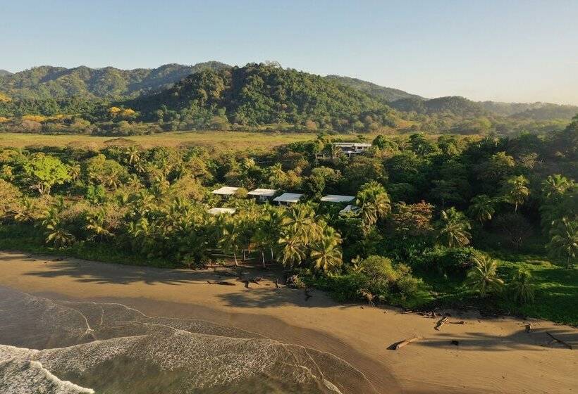 酒店 Salvatierra Beachfront