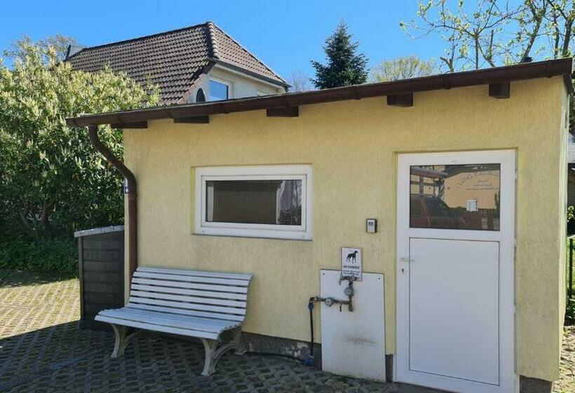 Пансион Ostseebad Zinnowitz Knuffeliges Ferienzimmer Im Holzhaus